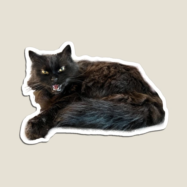 Black Cat Sticker – Big Moods