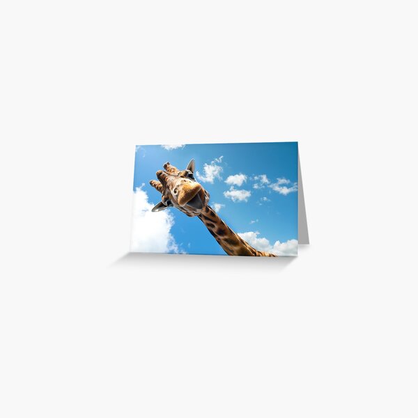 Hello Giraffe! Greeting Card