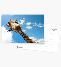 Hallo Giraffe! Postkarten