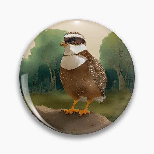 Item preview, Good Ol' Bobwhite - If you used to be a Bobwhite, a Good Old Bobwhite too, you'll find this bestseller critter storybook design perfect.  designed and sold by SeaStories88.
