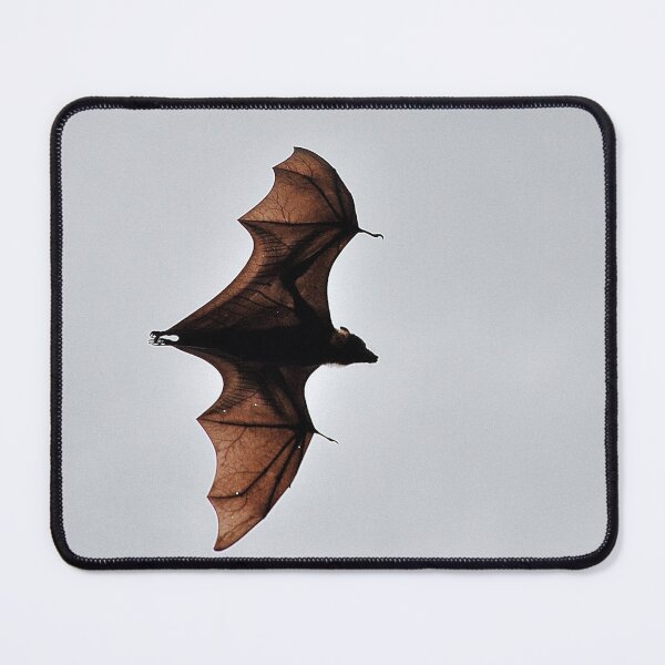 Item preview, Australia - Cairns, Flying Fox designed and sold by franck380.