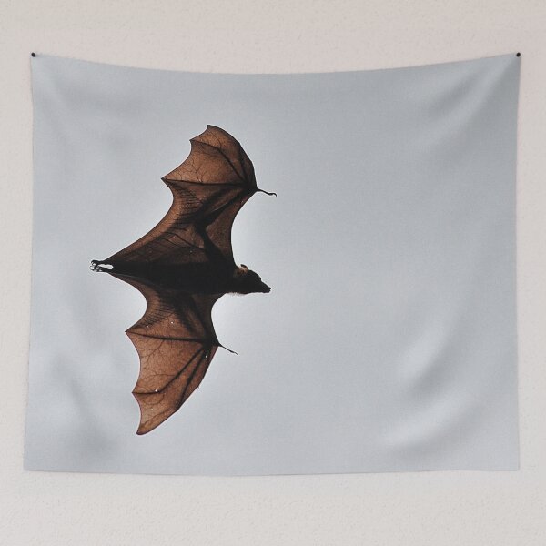 Item preview, Australia - Cairns, Flying Fox designed and sold by franck380.