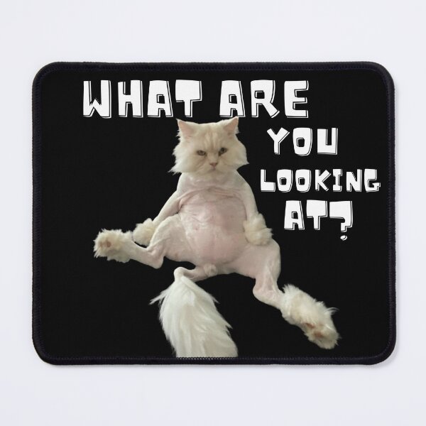 Item preview, Ugly Cat What Are You Looking At? Grumpy funny novelty designed and sold by HatzicTshirts.