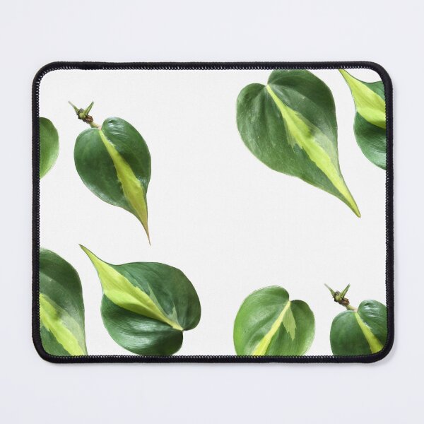 Item preview, Philodendron Brazil designed and sold by Phoebew03.