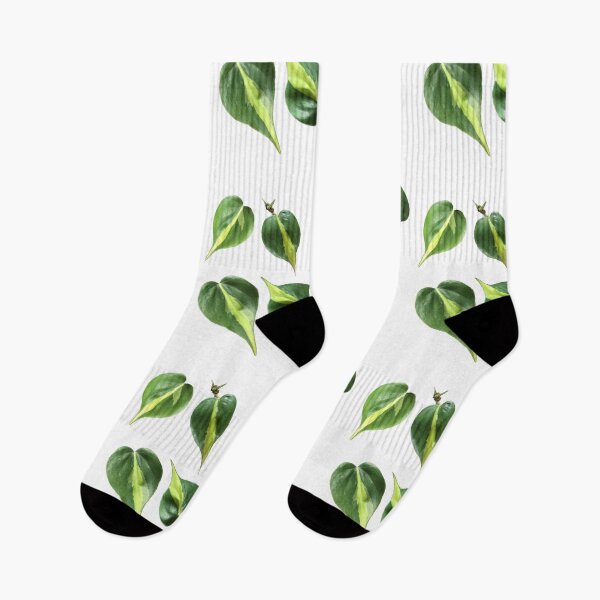 Item preview, Philodendron Brazil  designed and sold by Phoebew03.