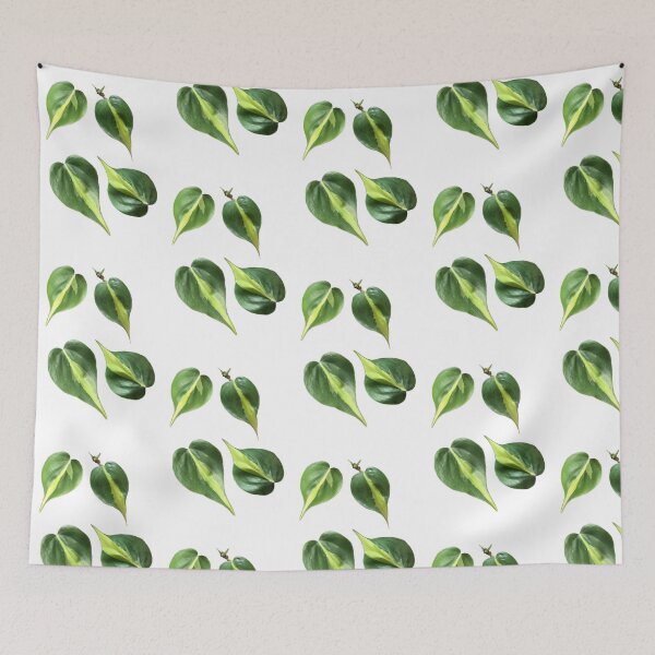 Item preview, Philodendron Brazil  designed and sold by Phoebew03.