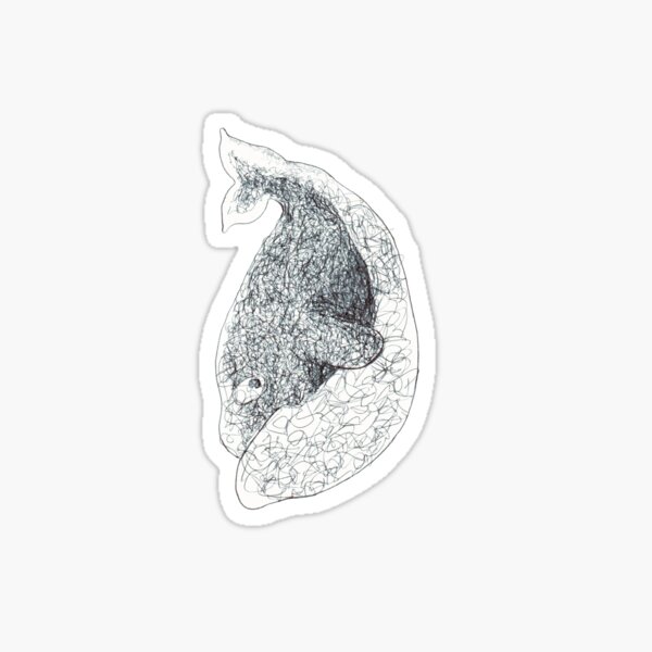 Just A Whale Sticker