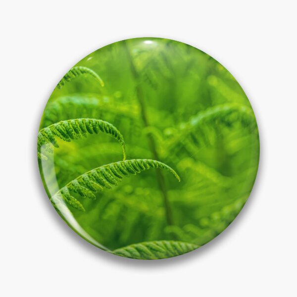Item preview, Ferns 3 designed and sold by Veikko  Suikkanen.