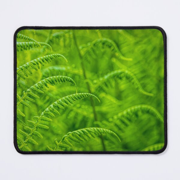 Item preview, Ferns 3 designed and sold by Veikko Suikkanen.