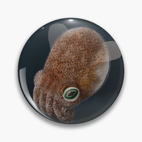 Item preview, Hawaiian Bobtail Squid designed and sold by Birds-And-More.