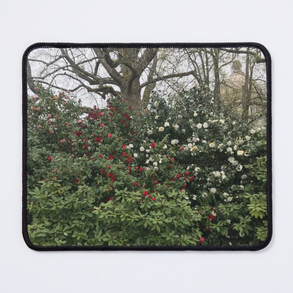 Item preview, State Capitol Grounds in April designed and sold by Phantasm-NW.
