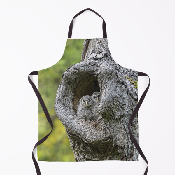 Item preview, Eyes Tell The Story designed and sold by Puttaswamy Ravishankar.