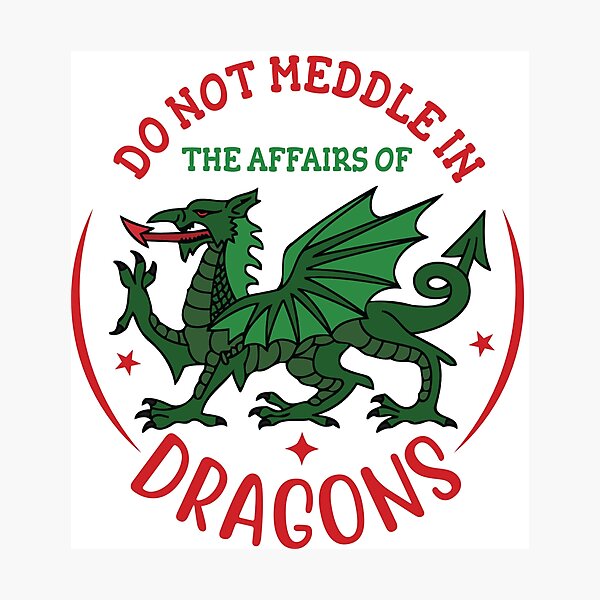 Item preview, Do Not Meddle In The Affairs Of Dragons designed and sold by beefrancky.