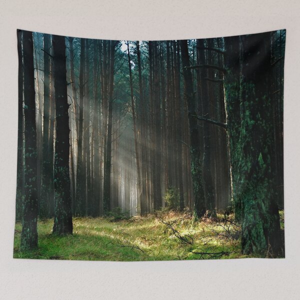Item preview, Sunlight Forest designed and sold by PhotoStore.
