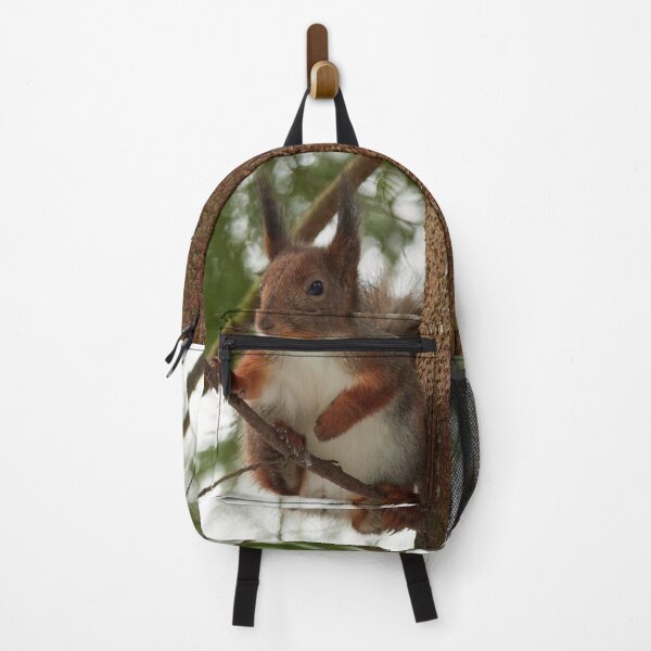 Item preview, The boss. Red squirrel designed and sold by Jouko Lehto Photography.