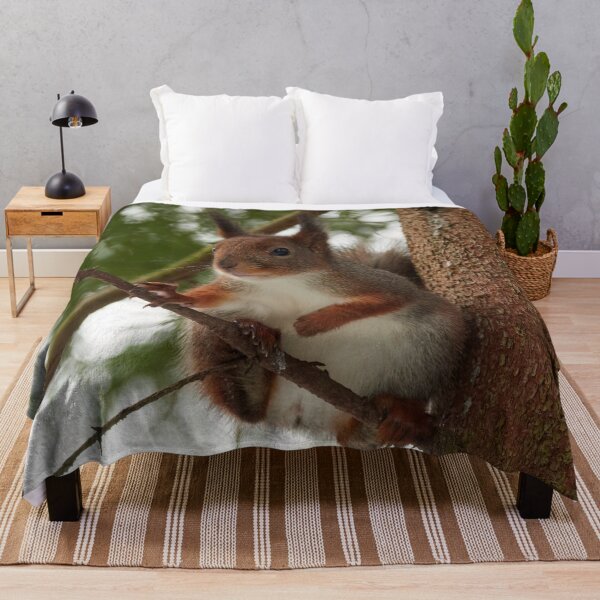 Item preview, The boss. Red squirrel designed and sold by Jouko Lehto Photography.