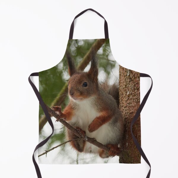 Item preview, The boss. Red squirrel designed and sold by Jouko Lehto Photography.