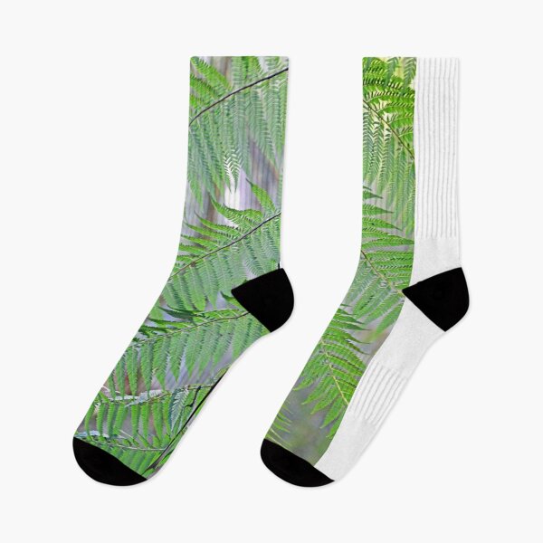 Item preview, Filtered light through the frond designed and sold by imaginethis.