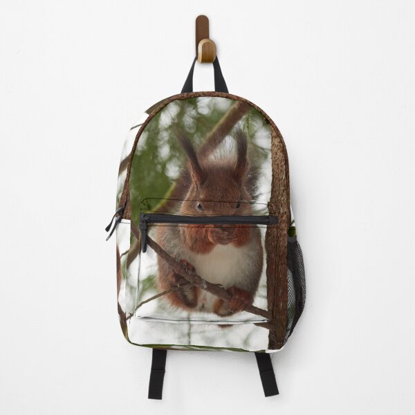 Item preview, Keep your mouth shut. Red squirrel designed and sold by Jouko Lehto Photography.