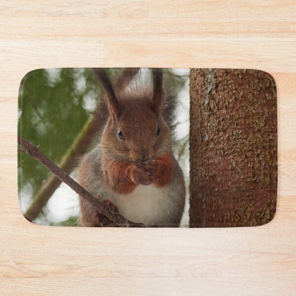 Item preview, Keep your mouth shut. Red squirrel designed and sold by Jouko Lehto Photography.