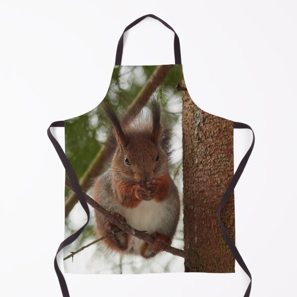 Item preview, Keep your mouth shut. Red squirrel designed and sold by Jouko Lehto Photography.