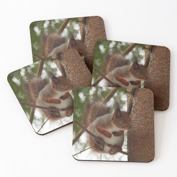 Item preview, That was bad. Red squirrel designed and sold by Jouko Lehto Photography.