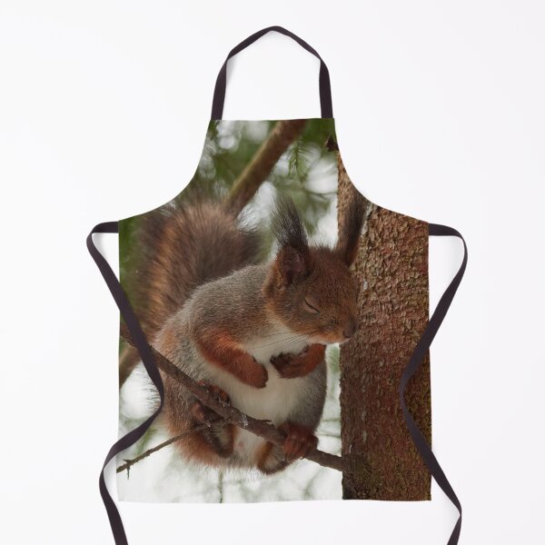 Item preview, That was bad. Red squirrel designed and sold by Jouko Lehto Photography.