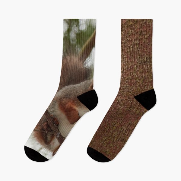 Item preview, That was bad. Red squirrel designed and sold by Jouko Lehto Photography.
