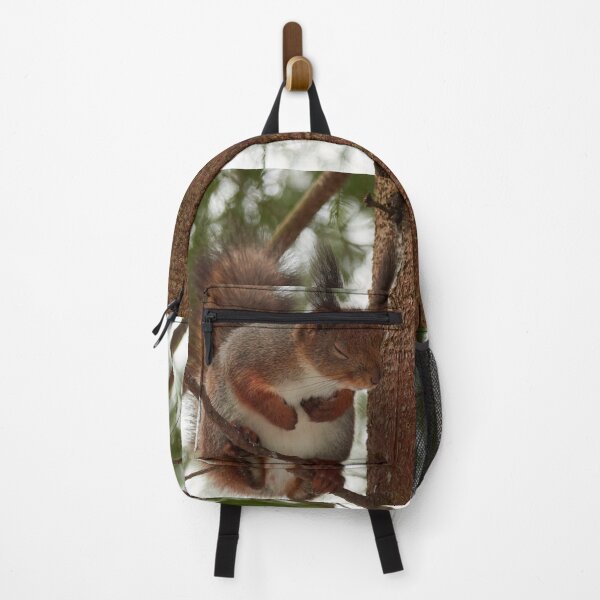 Item preview, That was bad. Red squirrel designed and sold by Jouko Lehto Photography.