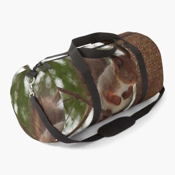 Item preview, That was bad. Red squirrel designed and sold by Jouko Lehto Photography.