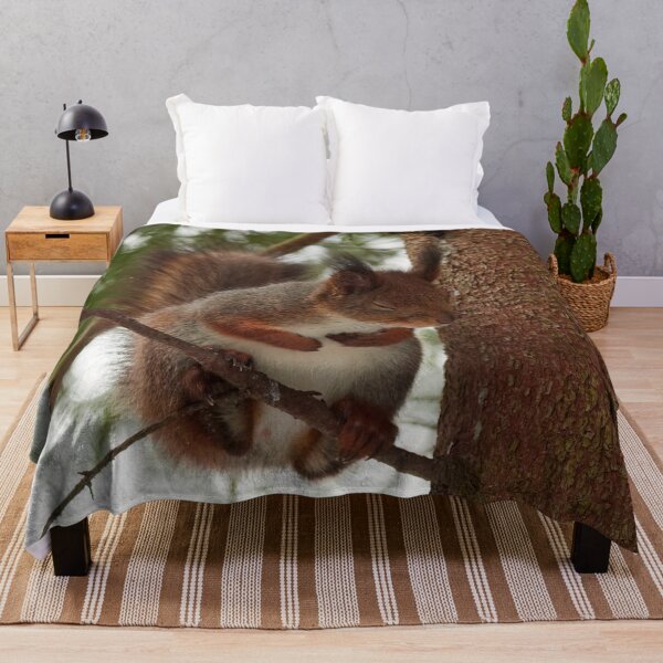 Item preview, That was bad. Red squirrel designed and sold by Jouko Lehto Photography.