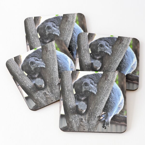 Item preview, Australia - Cairns, Kuranda designed and sold by franck380.