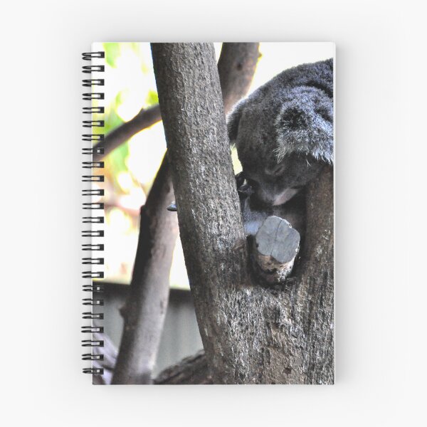 Item preview, Australia - Cairns, Kuranda designed and sold by franck380.