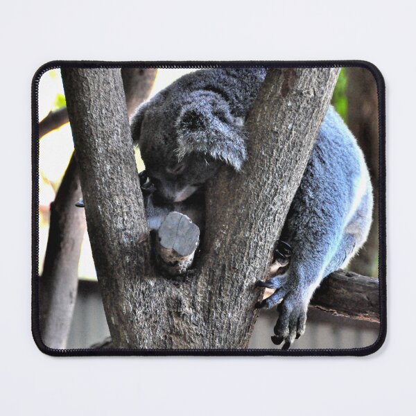 Item preview, Australia - Cairns, Kuranda designed and sold by franck380.