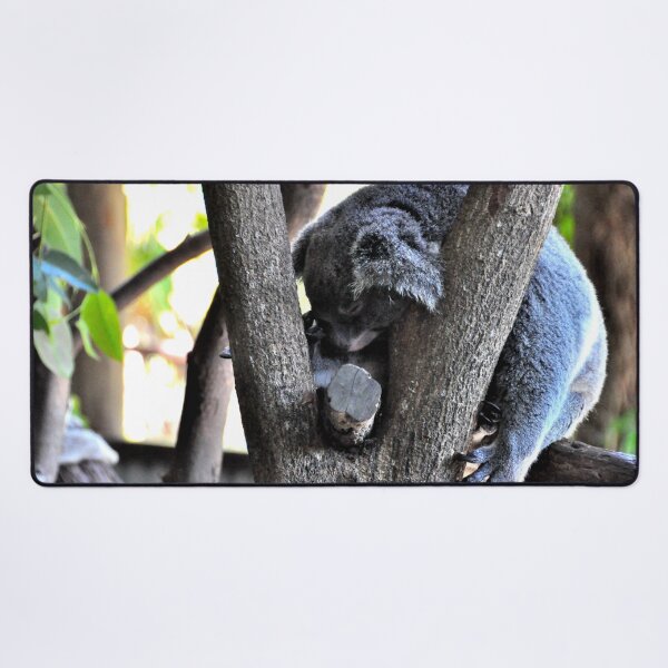 Item preview, Australia - Cairns, Kuranda designed and sold by franck380.