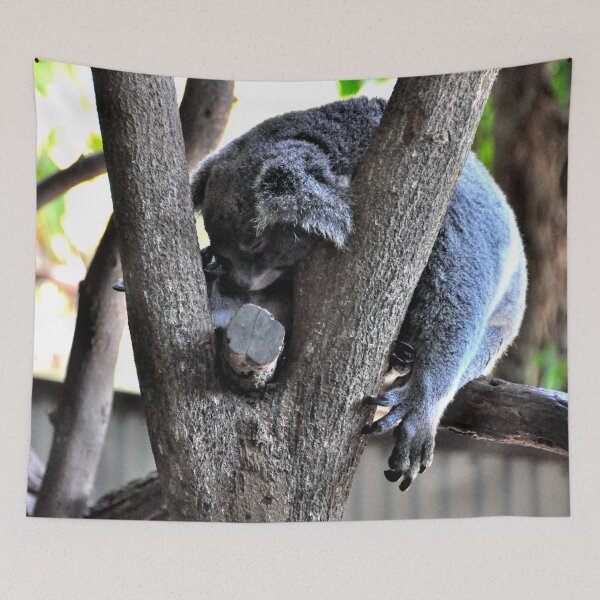 Item preview, Australia - Cairns, Kuranda designed and sold by franck380.