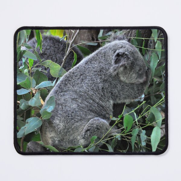 Item preview, Australia - Cairns, Kuranda designed and sold by franck380.
