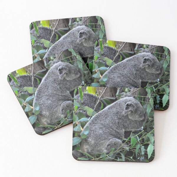 Item preview, Australia - Cairns, Kuranda designed and sold by franck380.