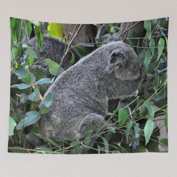 Item preview, Australia - Cairns, Kuranda designed and sold by franck380.
