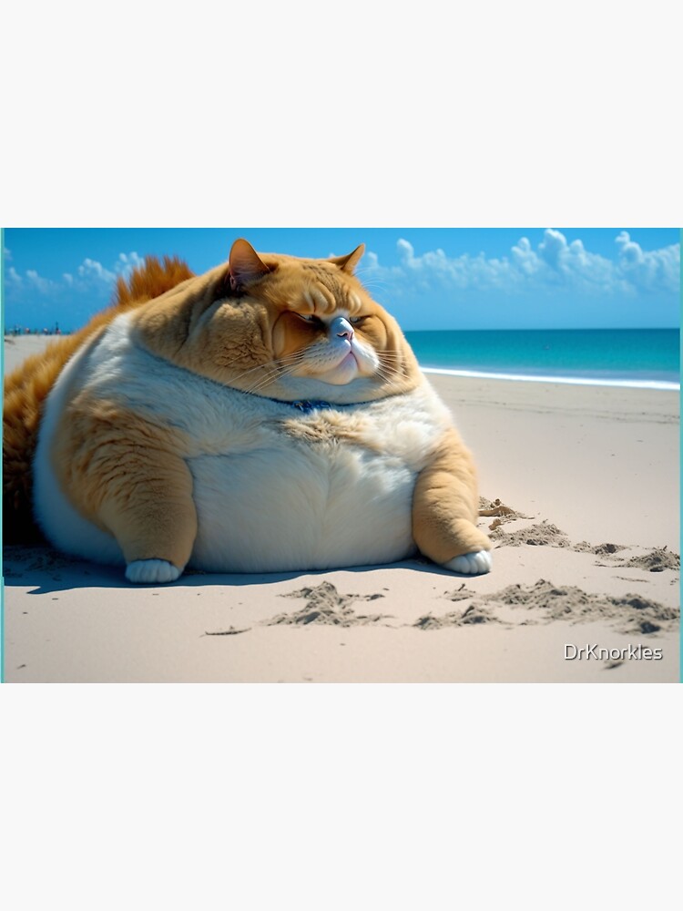 Disover cute chonky cat at the beach Premium Matte Vertical Poster