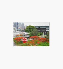 Poincianas at Kurilpa Art Board