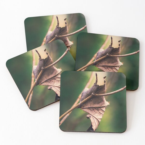 Item preview, Winter Leaf designed and sold by Benkilbeyprints.