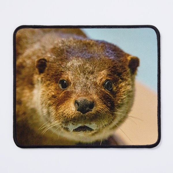 Item preview, Wonderful face of an Otter designed and sold by Dalyndigital Photography.