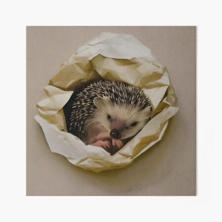 Sleeping hedgehog | Art Board Print