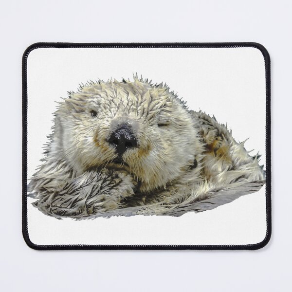 Item preview, Otterly Cute!  Just thinking! Right! designed and sold by Dalyndigital Photography.