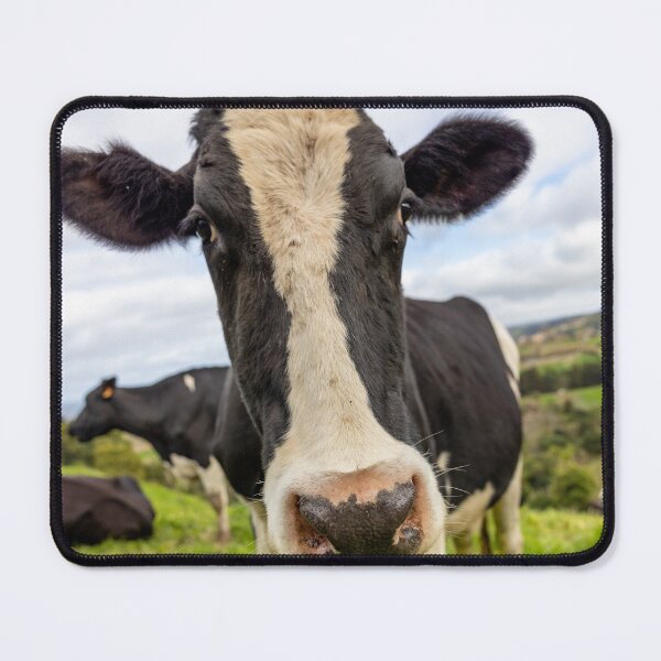 Item preview, Cute cow at Azores islands, funny animals, in nature. designed and sold by AylaHarbich.