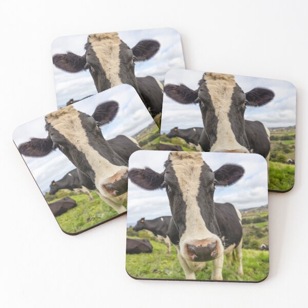 Item preview, Cute cow at Azores islands, funny animals, in nature. designed and sold by AylaHarbich.