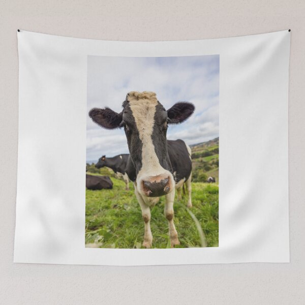 Item preview, Cute cow at Azores islands, funny animals, in nature. designed and sold by AylaHarbich.