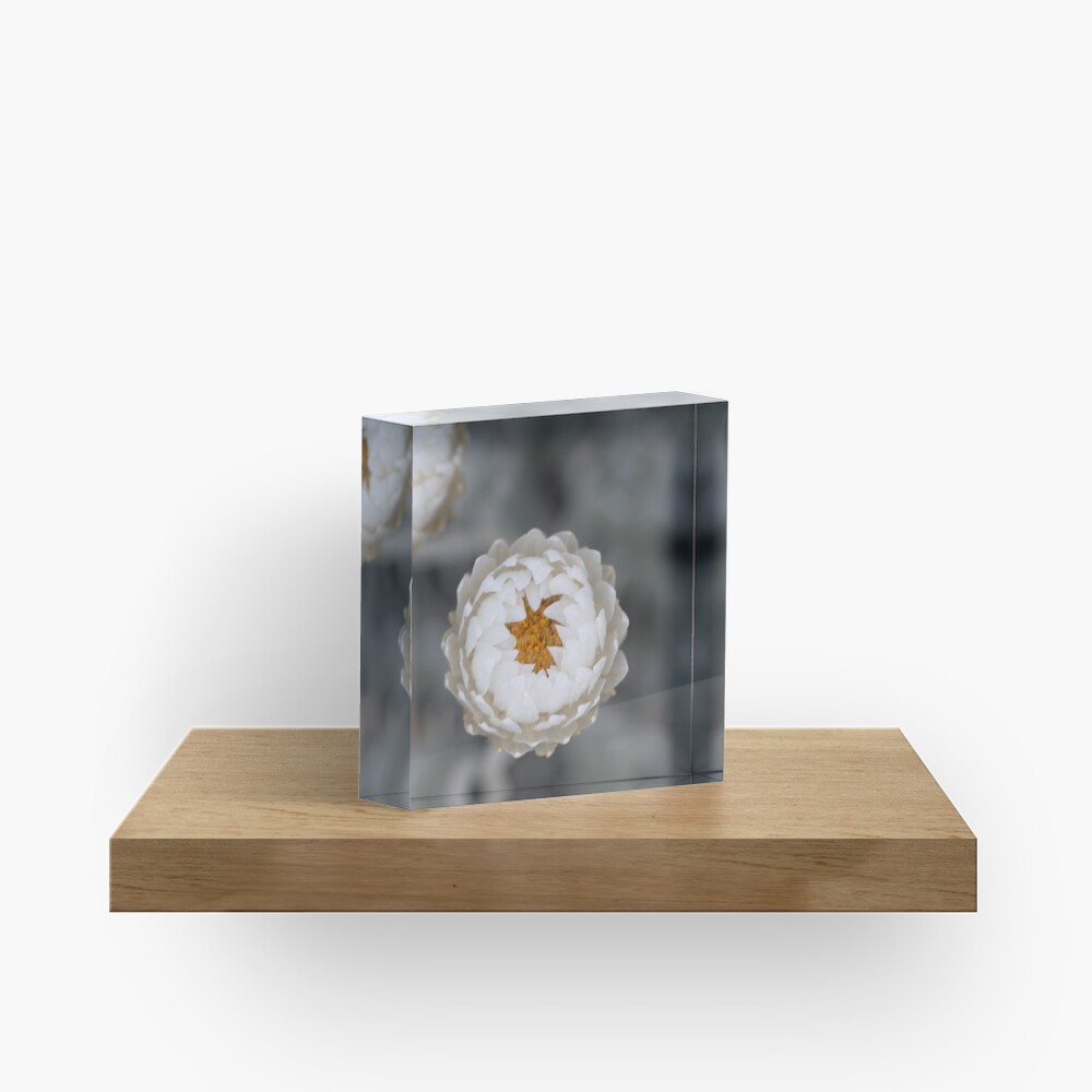 Item preview, Acrylic Block designed and sold by alymae77.