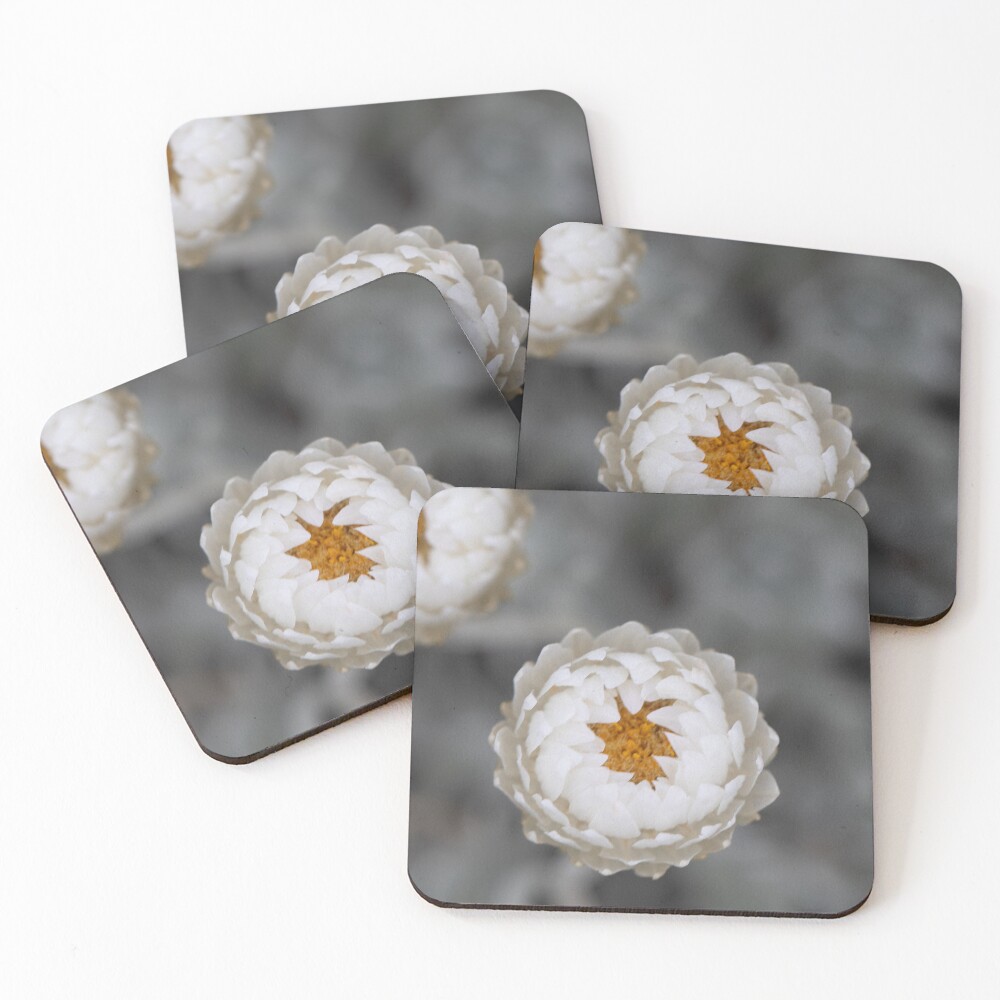 Item preview, Coasters (Set of 4) designed and sold by alymae77.